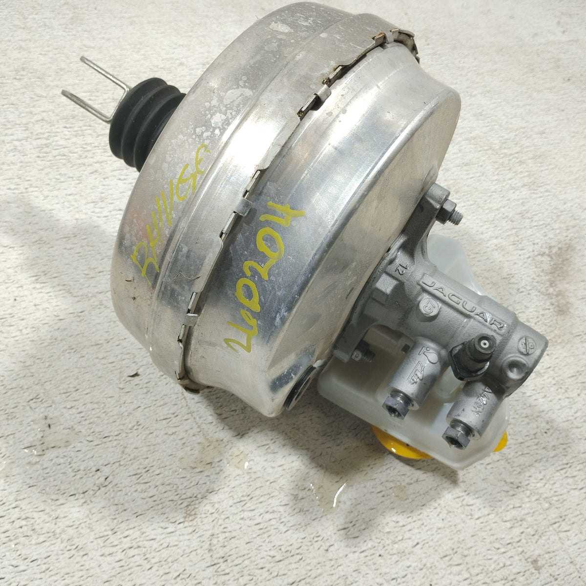 Image #2