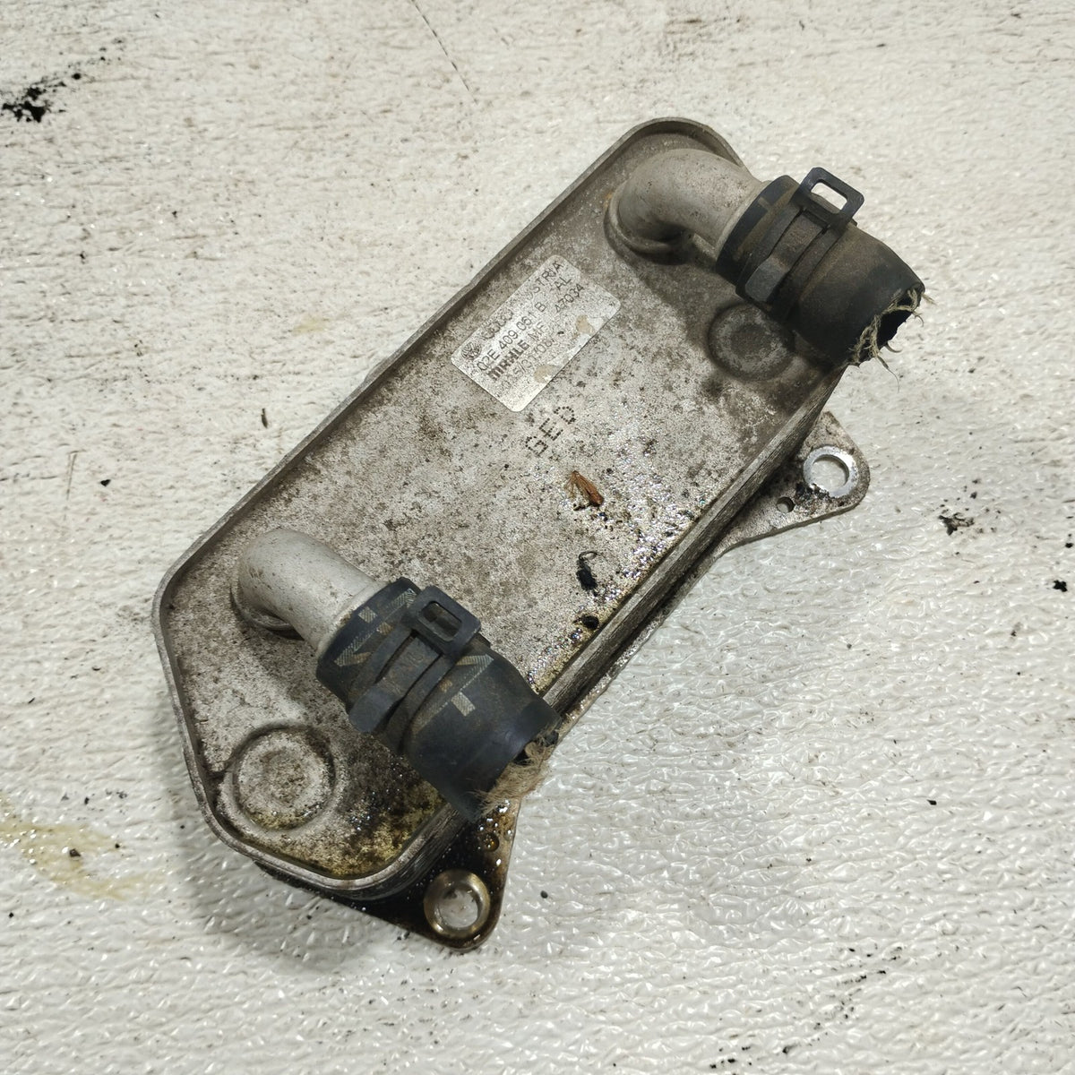 Image #2