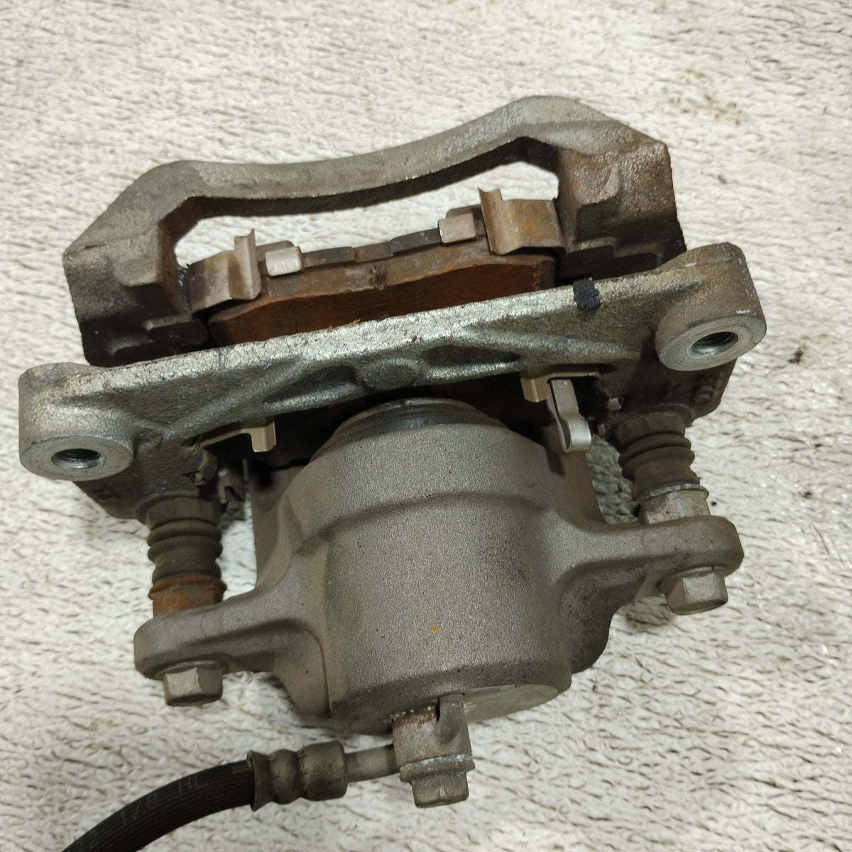 Image #4