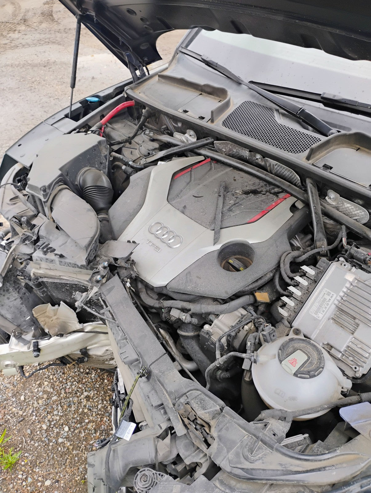 Image #9